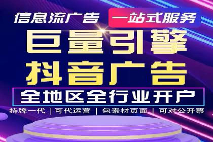 SEM推广实战：成功案例解读与策略调整